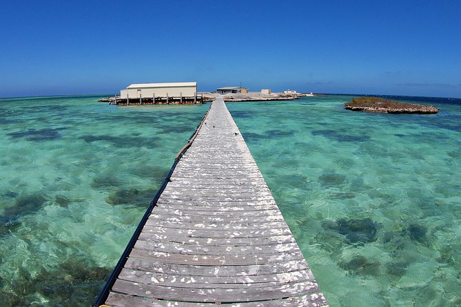 Abrolhos Islands 5 Day Cruise - Five days among the Abrolhos Islands
