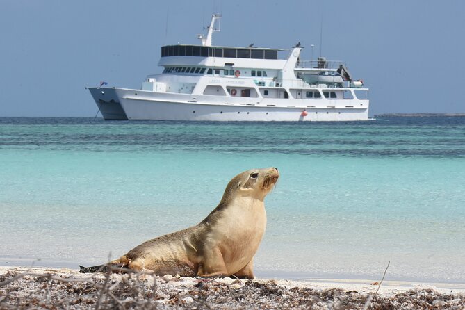 Abrolhos Islands 5 Day Cruise - Life onboard the small ship