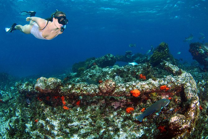 Abrolhos Islands 5 Day Cruise - Who should book this cruise?