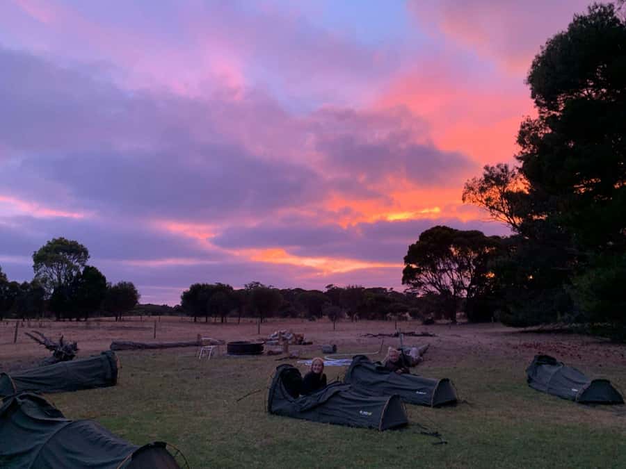 Adelaide: 3-Day Kangaroo Island Adventure Tour with Camping - Day three: lighthouses, beaches, and a long return