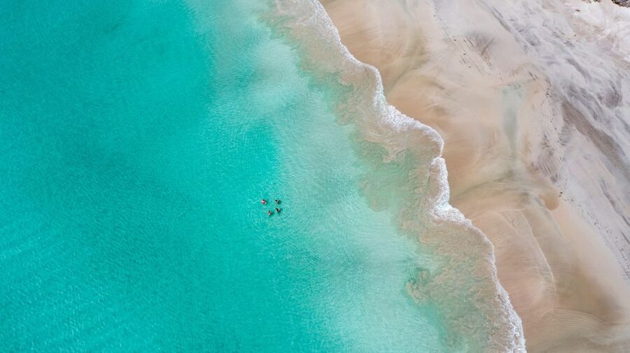 Adelaide: 3-Day Kangaroo Island Adventure Tour with Camping - What the $538 price really covers