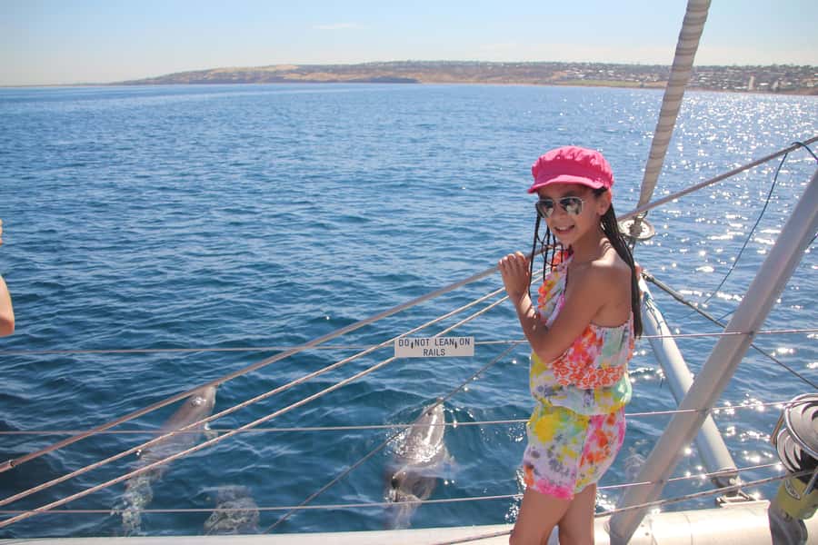 Adelaide: 4-Hour Guaranteed Wild Dolphin Watching Cruise - How the $63 price compares