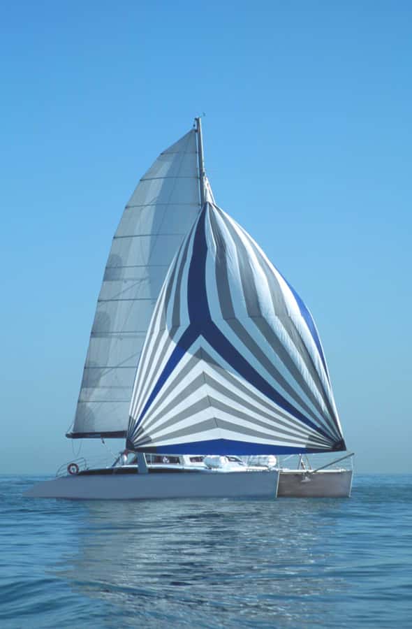 Adelaide: 4-Hour Swimming with Dolphins Experience - Should you book Temptation Sailing?