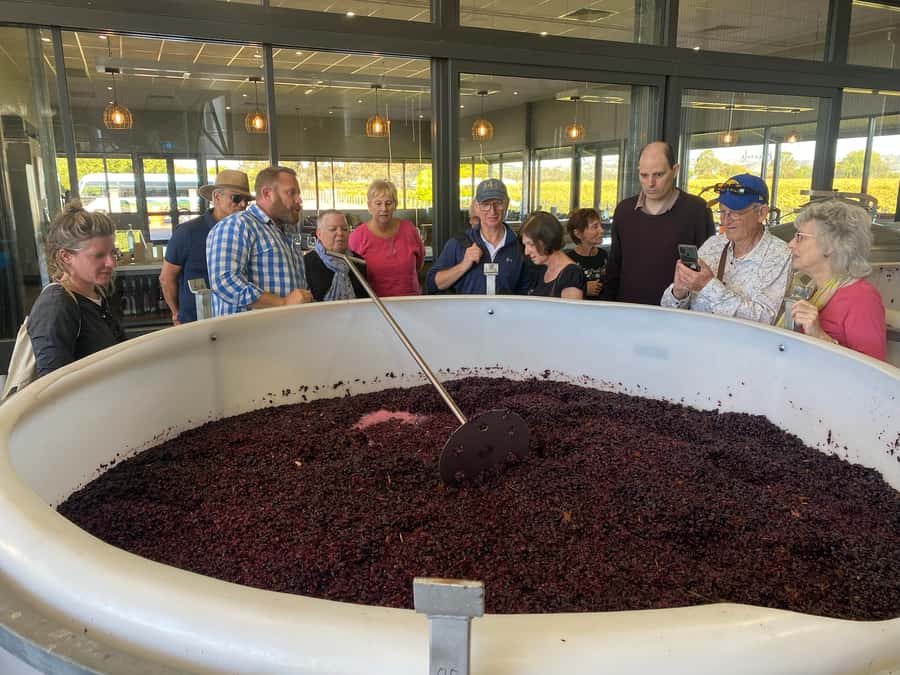 Adelaide: Barossa Premium Wine Tasting tour & Winery Lunch - What the $126 price really covers