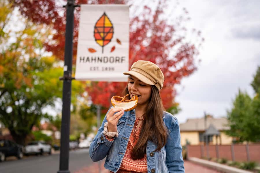 Adelaide: City, Adelaide Hills Villages, and Hahndorf Tour - The Adelaide Hills villages add local character