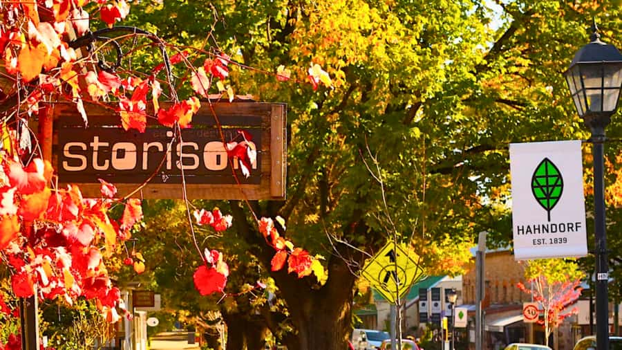 Adelaide City Highlights Half-Day Tour, Mt Lofty & Hahndorf - Two Hours in Hahndorf