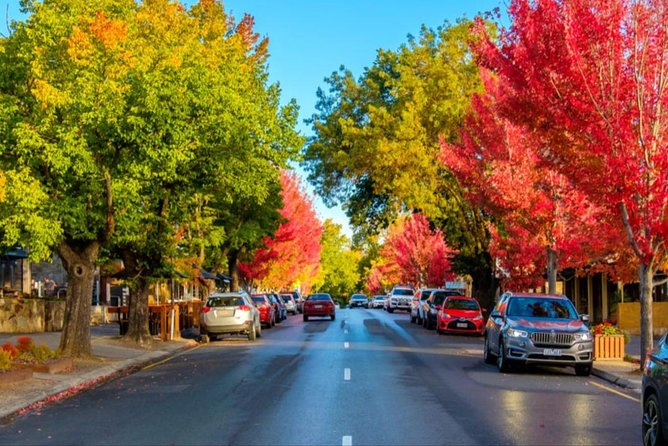 Adelaide City Highlights- Mt. Lofty & Hahndorf Half-Day Tour - Comfortable transport, with one important fee warning