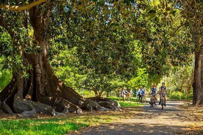 Adelaide City to Sea Bike Tour - The River Torrens Trail Slows the Morning Down