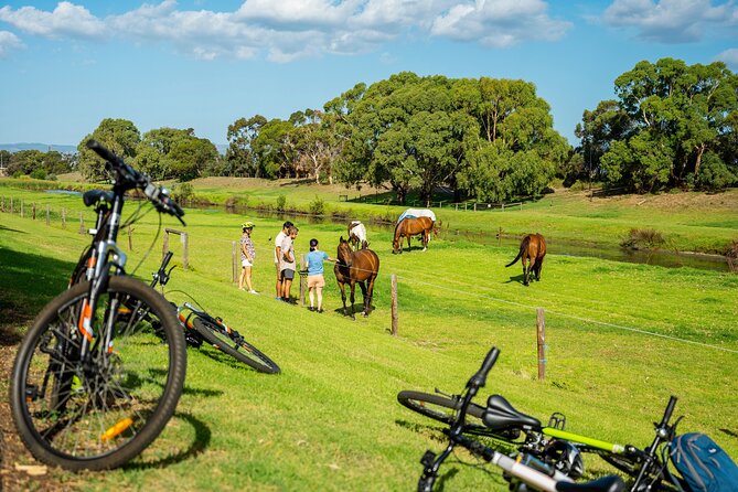 Adelaide City to Sea Bike Tour - The Glenelg Tram Makes the Return Simple