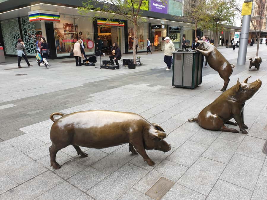 Adelaide: City Walking Tour with Guide - Pace, group feel, and physical demands