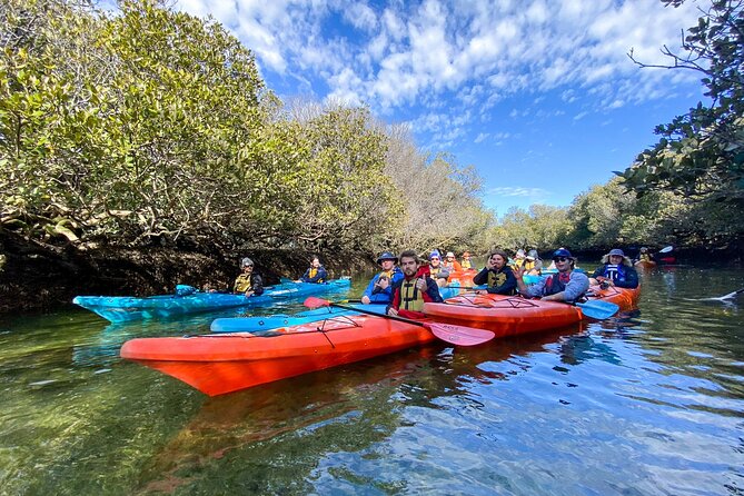 Adelaide Dolphin Sanctuary and Ships Graveyard Kayak Tour - Why Adelaide’s ship graveyard makes this tour different