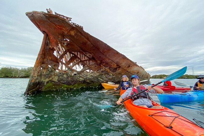 Adelaide Dolphin Sanctuary and Ships Graveyard Kayak Tour - Practical tips for a smoother outing