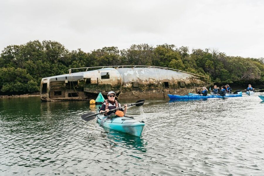 Adelaide: Dolphin Sanctuary Eco Kayaking Tour - Who will enjoy this Port Adelaide kayak trip?