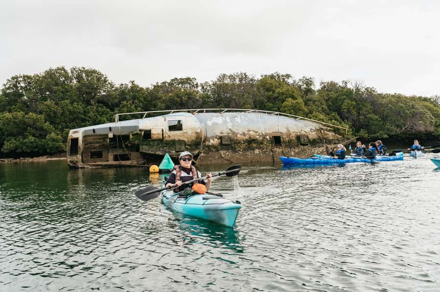 Adelaide: Dolphin Sanctuary Eco Kayaking Tour - Looking for dolphins without chasing them