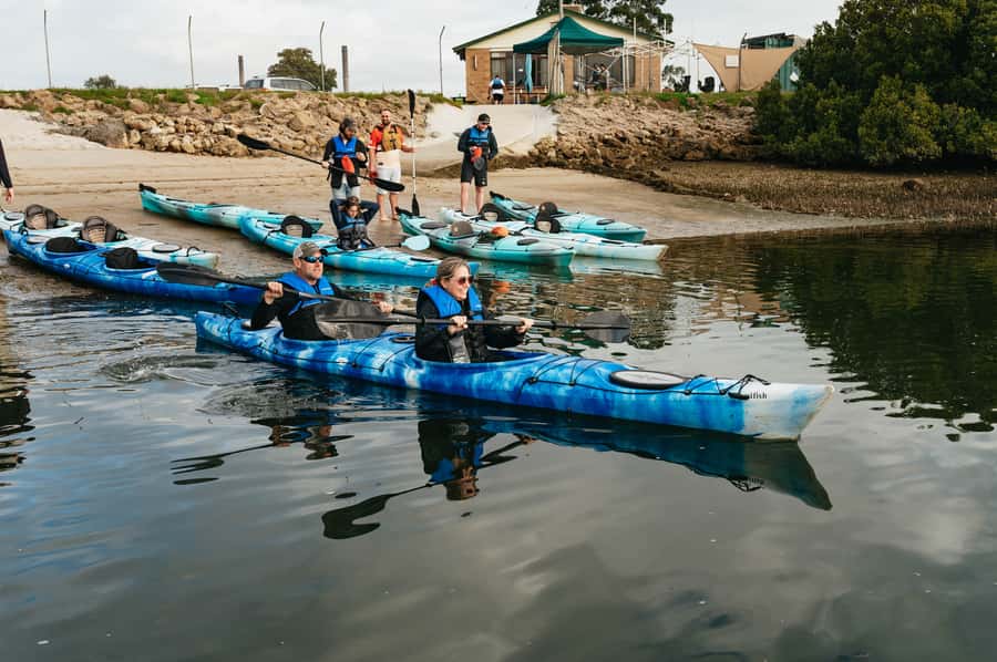 Adelaide: Dolphin Sanctuary Eco Kayaking Tour - Shipwrecks, old boats, and a route shaped by tide