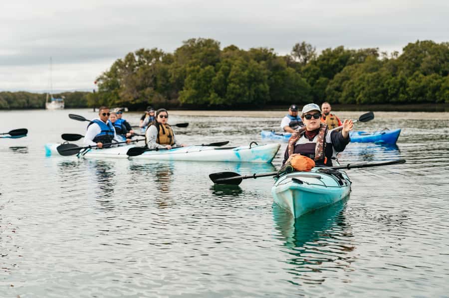 Adelaide: Dolphin Sanctuary Eco Kayaking Tour - Three hours that pass at a gentle pace