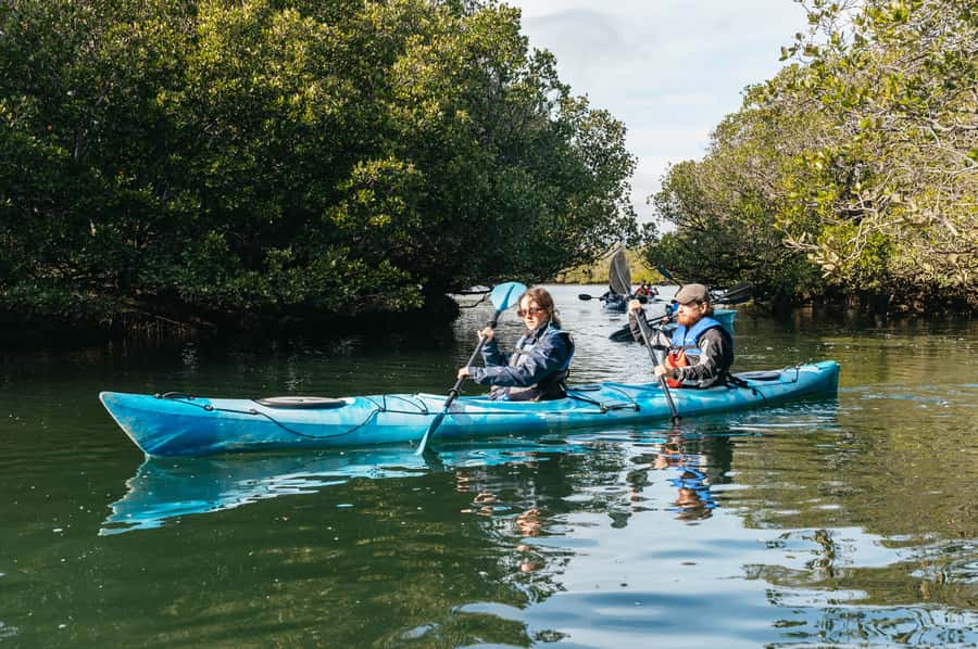 Adelaide: Dolphin Sanctuary Eco Kayaking Tour - What to pack for the water