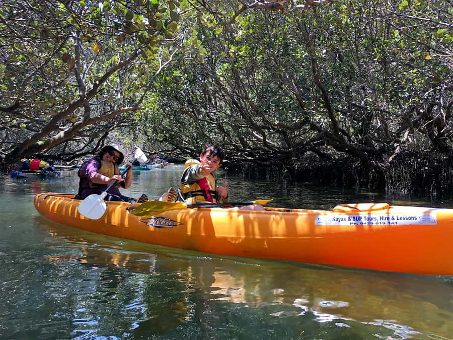 Adelaide: Dolphin Sanctuary Single or Double Kayak Rental - Key points to know before you book