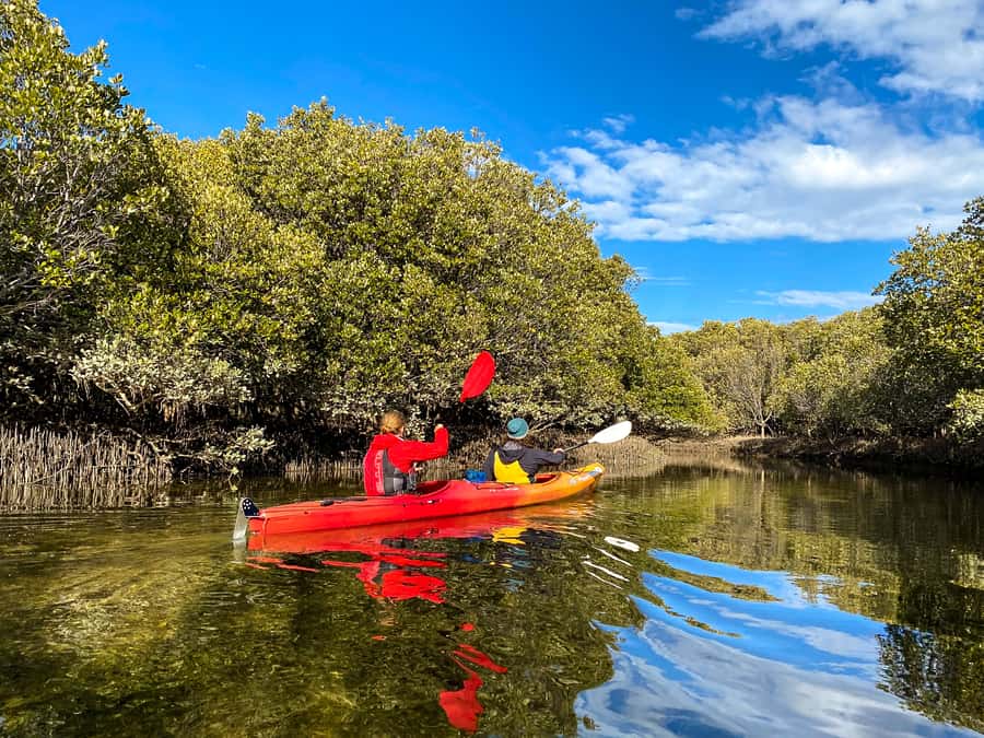 Adelaide: Dolphin Sanctuary Single or Double Kayak Rental - Booking flexibility and practical rules