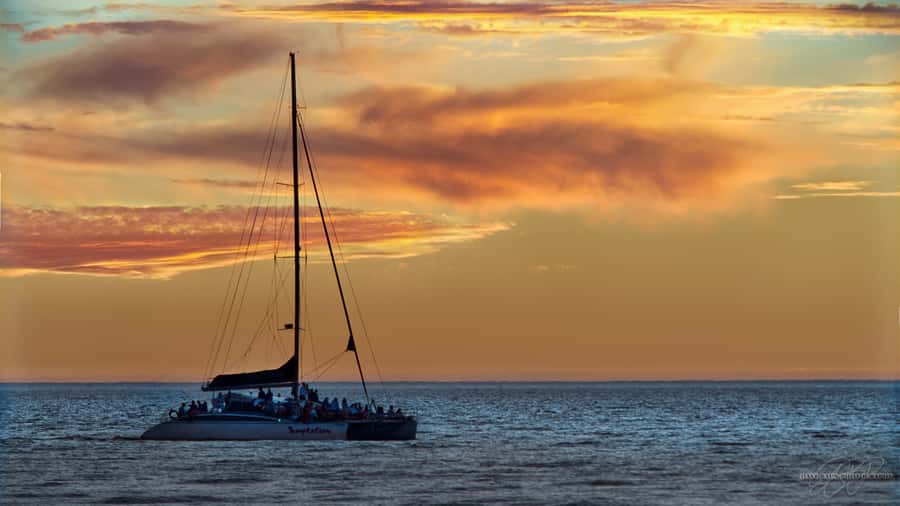 Adelaide: Glenelg Twilight Catamaran Cruise with Drink - A drink from the onboard bar