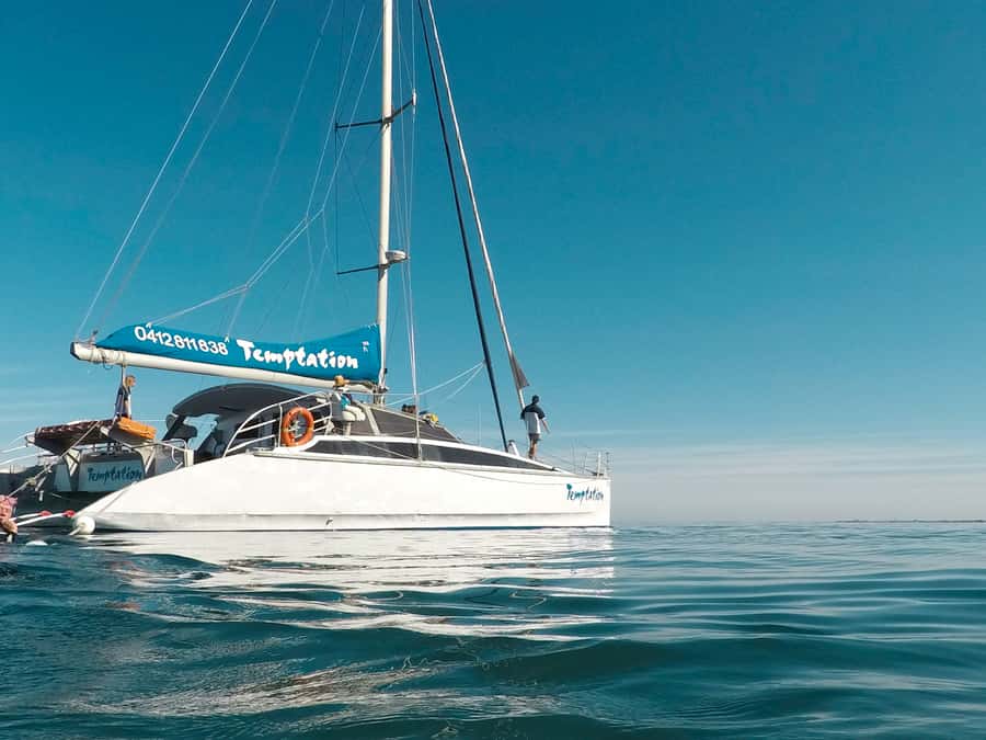 Adelaide: Glenelg Twilight Catamaran Cruise with Drink - The first stretch along the Glenelg coast