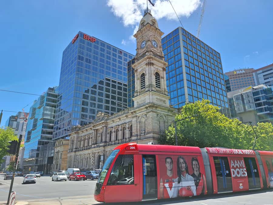 Adelaide: Guided Ultimate Walking Tour with Drink and Snack - Who will enjoy this walk most