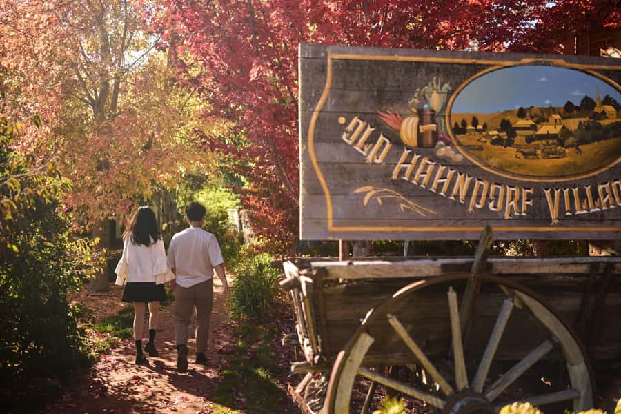 Adelaide: Highlights, Hahndorf & McLaren Vale Wine Tasting - Starting Around Adelaide’s Central Streets