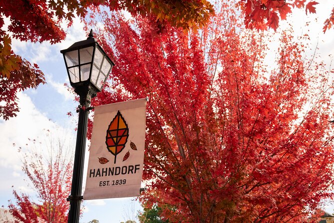 Adelaide Highlights, Hahndorf & McLaren Vale Wine Tasting and Sightseeing Tour - What the $96.83 price really covers