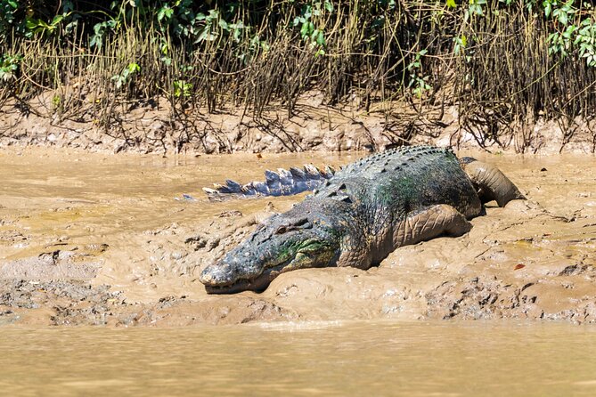 Adelaide River Cruises - Jumping Crocodile Experience - Who will enjoy this cruise most