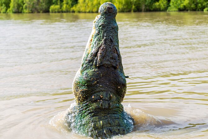 Adelaide River Cruises - Jumping Crocodile Experience - From the boat ramp to the first crocodile