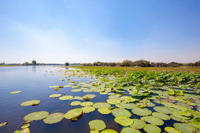Adelaide River Jumping Croc Cruise - What the $121.21 price buys you