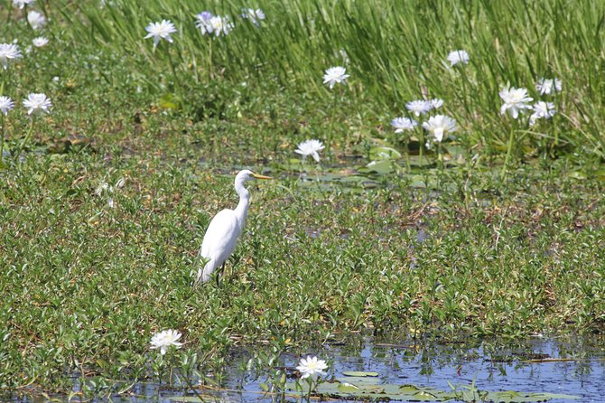Adelaide River Jumping Croc Cruise - What to bring and how to set expectations