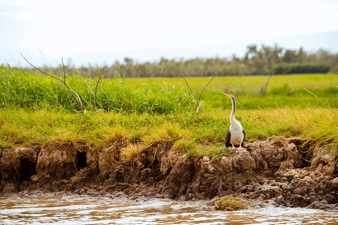 Adelaide River Jumping Croc Cruise - Who will enjoy this tour most