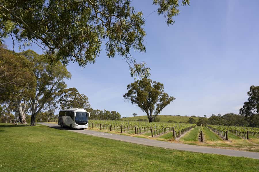 Adelaide: Small Group Tour of Barossa, Wineries with Lunch - Chateau Tanunda adds age and ceremony