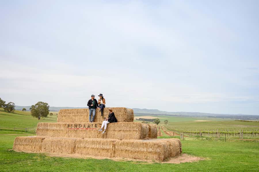 Adelaide: Small Group Tour of Barossa, Wineries with Lunch - Tanunda gives you time off the bus