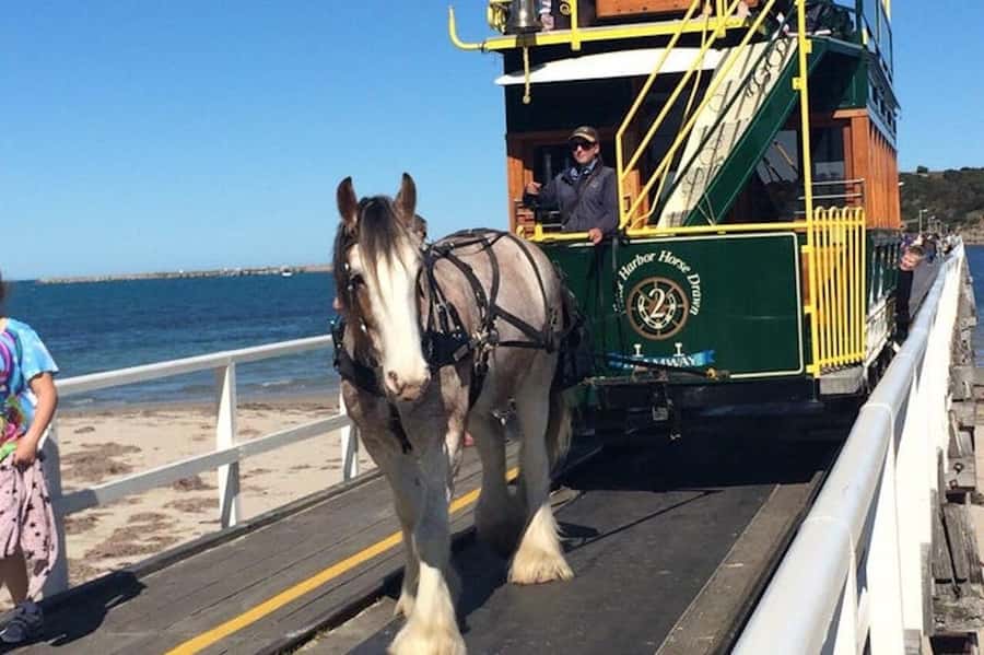 Adelaide: South Australia Guided Full-Day Highlights Tour - One day from Adelaide Hills to the Southern Coast