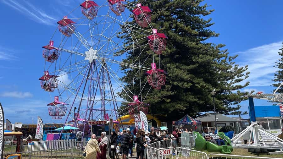 Adelaide: South Australia Guided Full-Day Highlights Tour - What the guides add to the experience