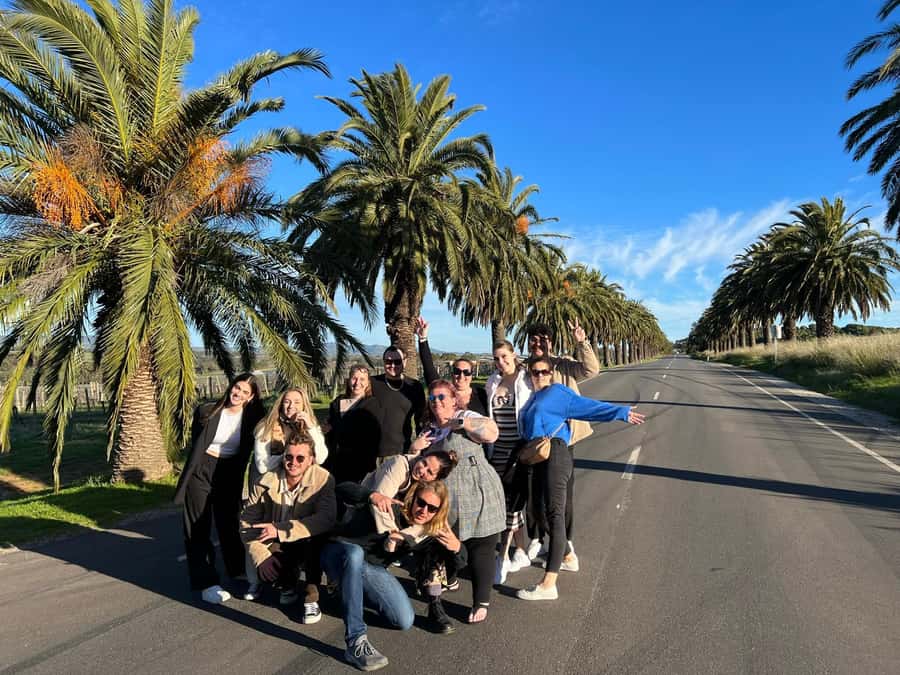 Adelaide: South Australia Guided Full-Day Highlights Tour - Mount Lofty: a quick view over Adelaide