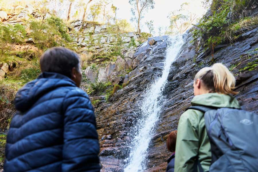 Adelaide to Melbourne: 3-Day Ultimate Overland Journey - Accommodation, meals, and the small-group setup
