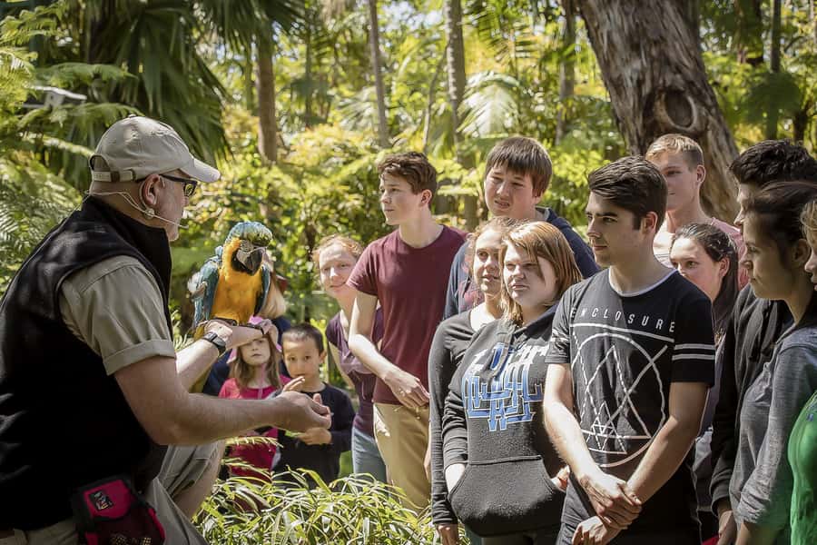 Adelaide Zoo: General Admission Tickets - How to use the daily keeper talks