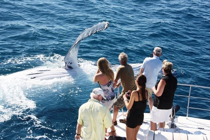 Afternoon Broome Town Tour including Beer Tasting & Sunset Drinks - Sunset drinks at Gantheaume Beach and Cable Beach