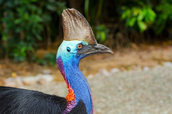 Afternoon & Evening Tour of Paronella Park - Why this tour works as a full Cassowary Coast day