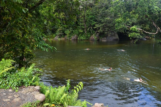 Afternoon & Evening Tour of Paronella Park - Dinner at Mena Creek Hotel and the nighttime park