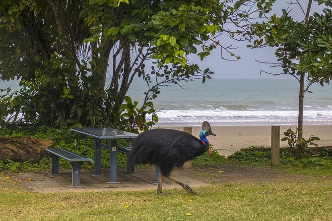 Afternoon & Evening Tour of Paronella Park - Is $178.59 good value?