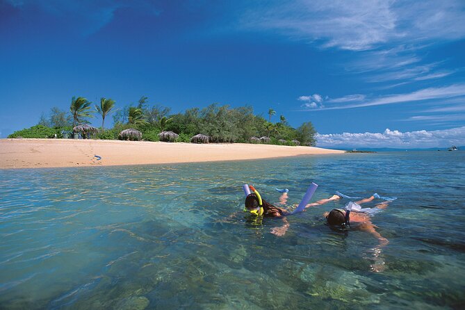 Afternoon Low Isles Snorkelling & Sunset Sail from Port Douglas - What the Crew Adds to the Day