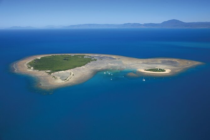 Afternoon Low Isles Snorkelling & Sunset Sail from Port Douglas - What $243.86 Means in Real Value