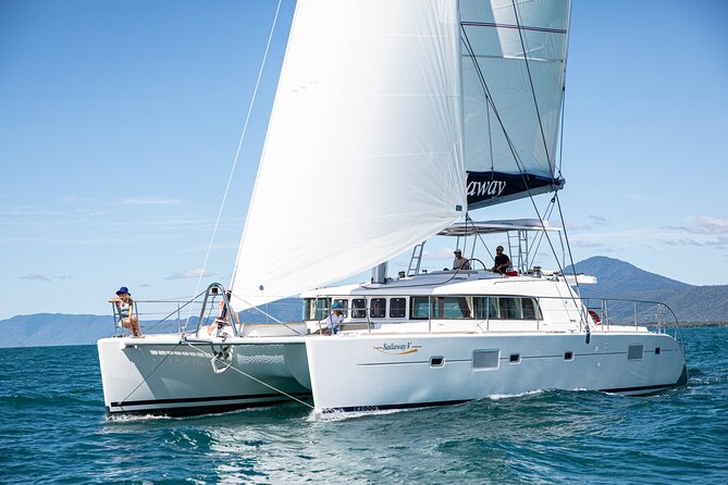 Afternoon Low Isles Snorkelling & Sunset Sail from Port Douglas - Practical Details Before You Reserve