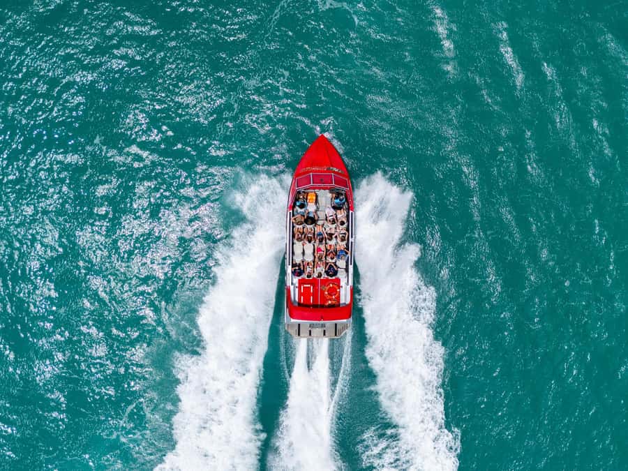 Airlie Beach: 30-Minute Jet Boat Ride - Why the driver matters so much