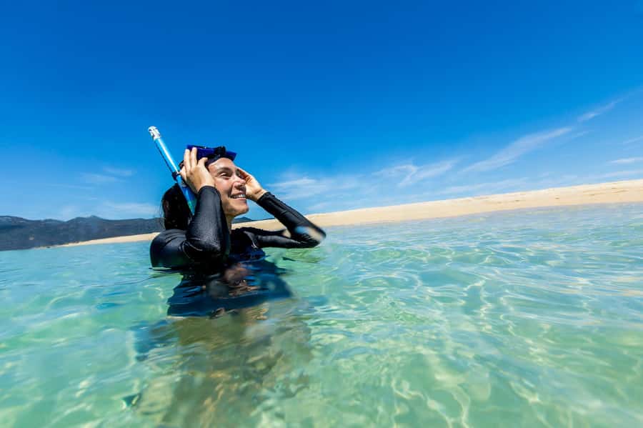 Airlie Beach: Adults-Only Whitehaven Beach Sailing Tour - Should You Book Lady Enid?