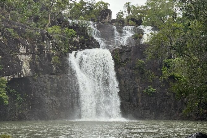 Airlie Beach: Cedar Creek Express (cruise ship friendly) - A fast route from Airlie Beach to freshwater